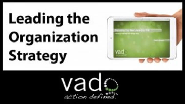 Leading the Organization Strategy: For Business & Project Management