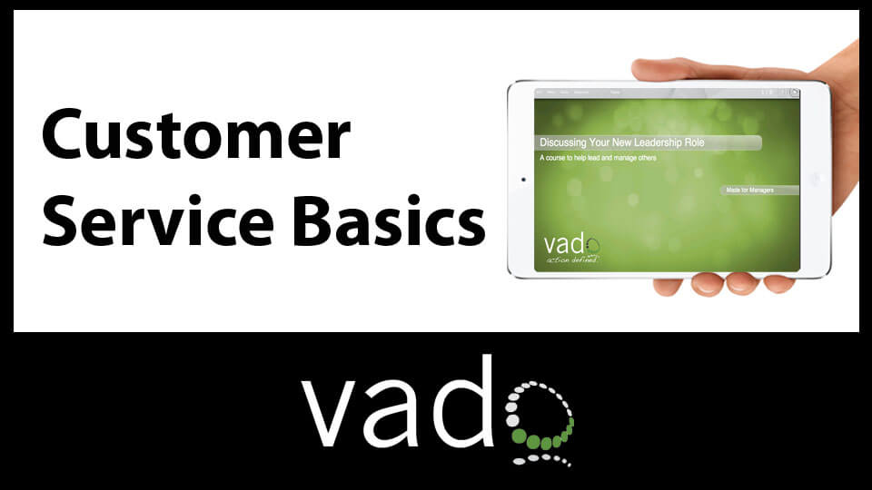 Customer Service Basics: For Business & Project Management 